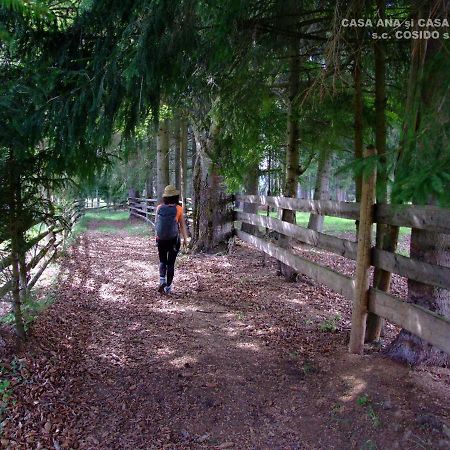 Casa Ana Vatra Dornei Villa Dealu Floreni Bagian luar foto
