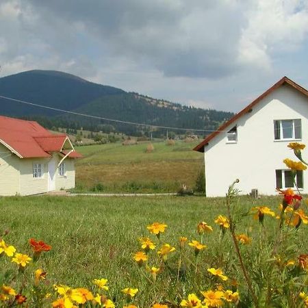 Casa Ana Vatra Dornei Villa Dealu Floreni Bagian luar foto