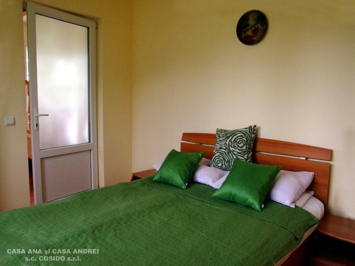 Casa Ana Vatra Dornei Villa Dealu Floreni Bagian luar foto