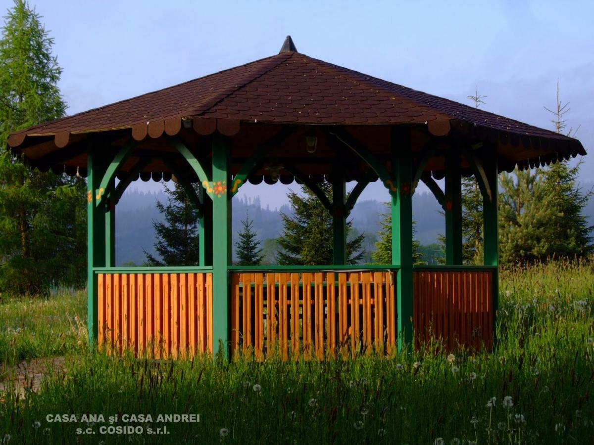 Casa Ana Vatra Dornei Villa Dealu Floreni Bagian luar foto