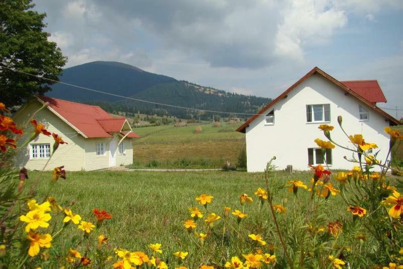 Casa Ana Vatra Dornei Villa Dealu Floreni Bagian luar foto