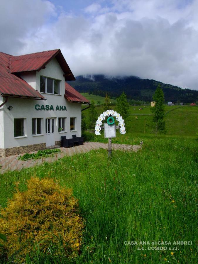 Casa Ana Vatra Dornei Villa Dealu Floreni Bagian luar foto